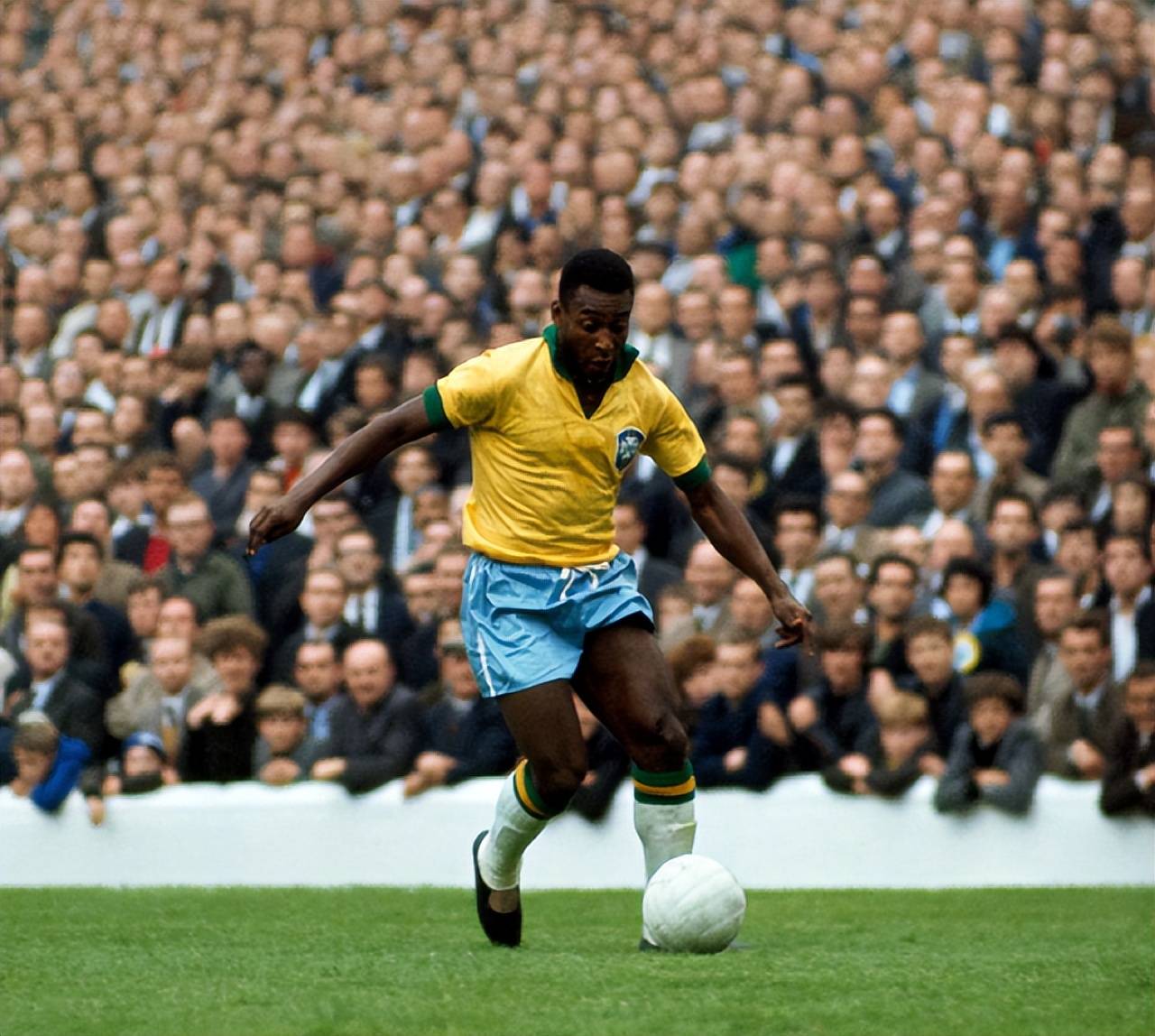 浙江广厦篮 浙江广厦篮